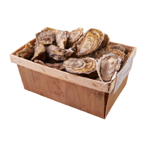 Panier d'huître fine de Cancale