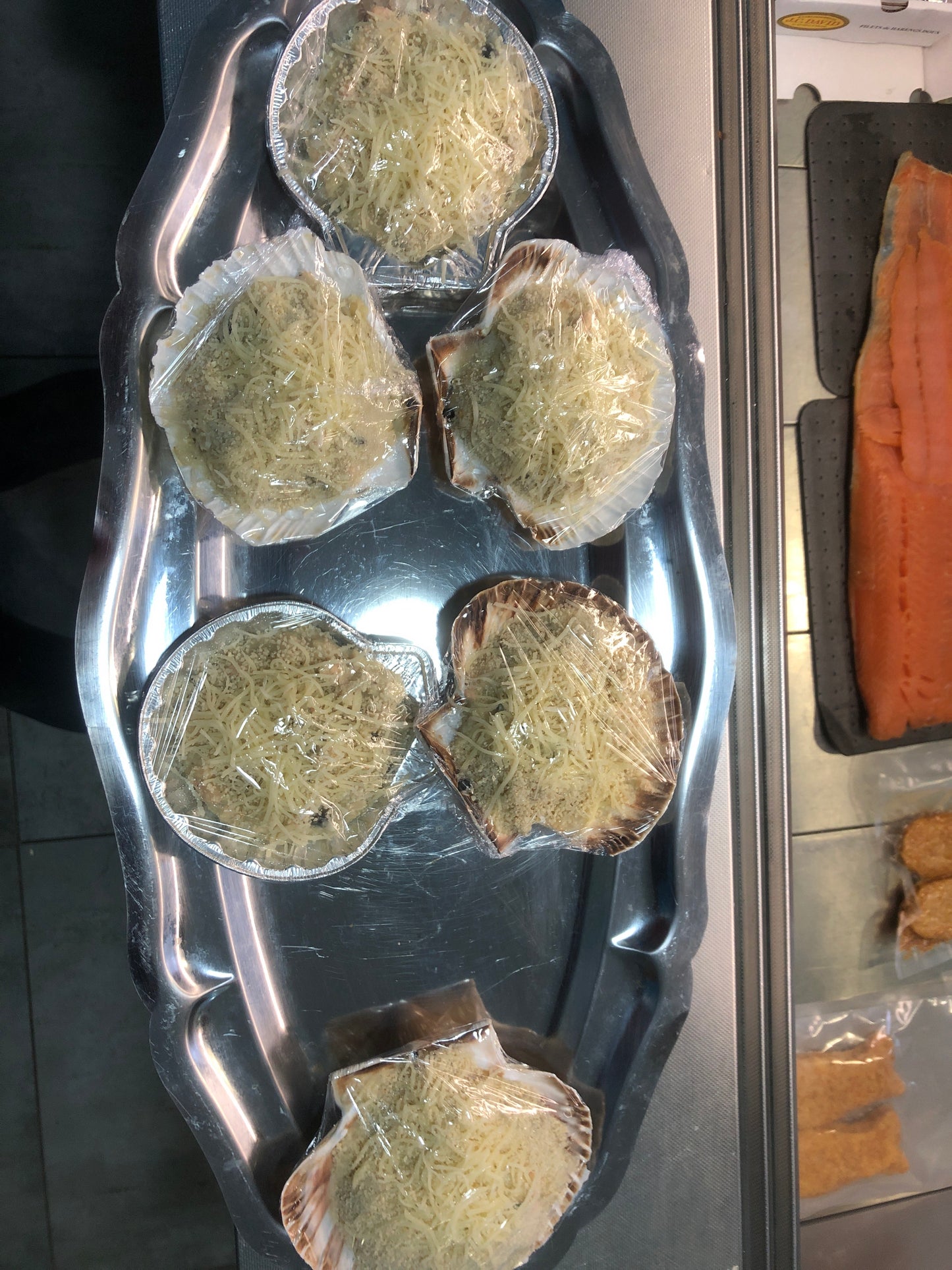 coquille_poissons
