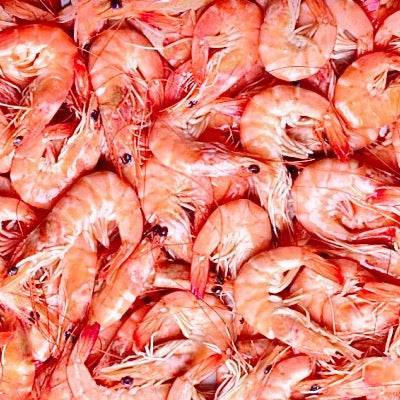 crevette rose équateur dans votre panier