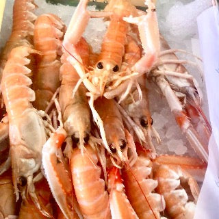 langoustine crustacé