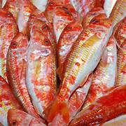 Rouget Barbet - 500 g - ⭐️⭐️⭐️
