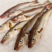 Merlan - 500 gr - ⭐️⭐️