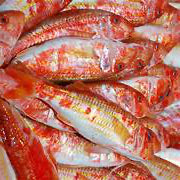 Rouget Barbet - 500 g - ⭐️⭐️⭐️